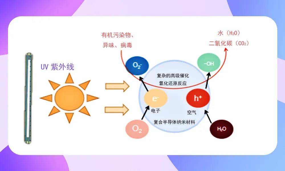 人生就是博-尊龙凯时(中国优质)股份有限公司