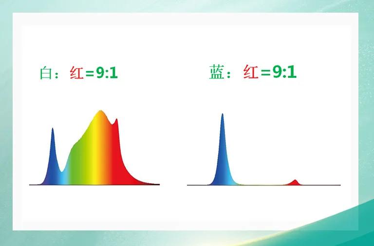 人生就是博-尊龙凯时(中国优质)股份有限公司